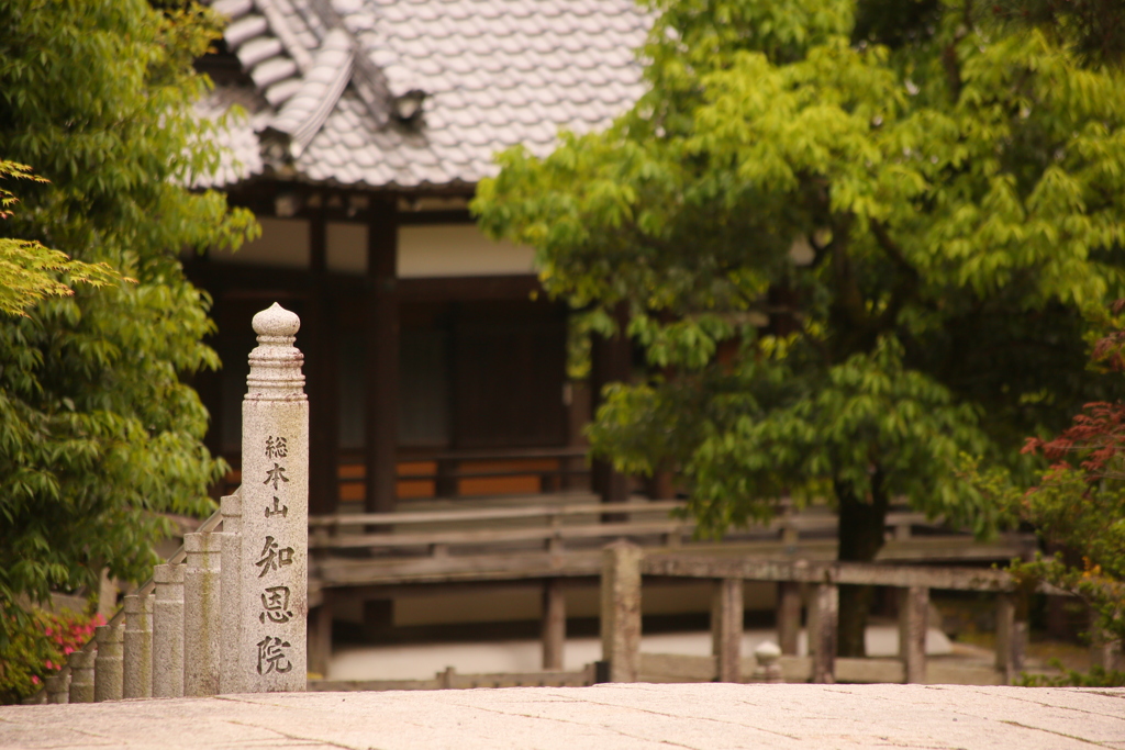 知恩院