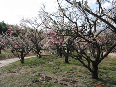 passato fotografia