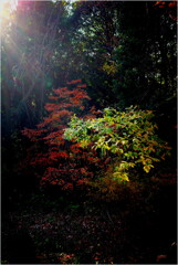 自宅付近にて-2