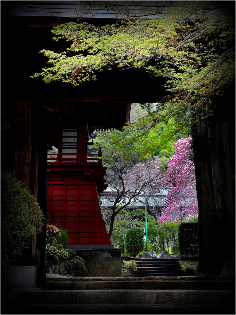門前の風景