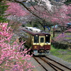 ローカル線の春-3