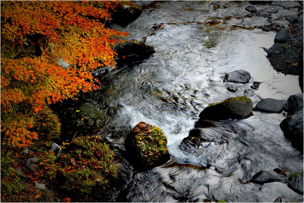 晩秋の川面-6