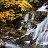 秋の渓-5