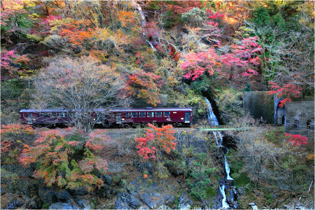 わたらせ渓谷鉄道の秋