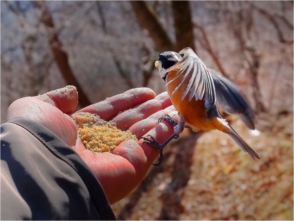 ただいま、食事中