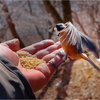 ただいま、食事中