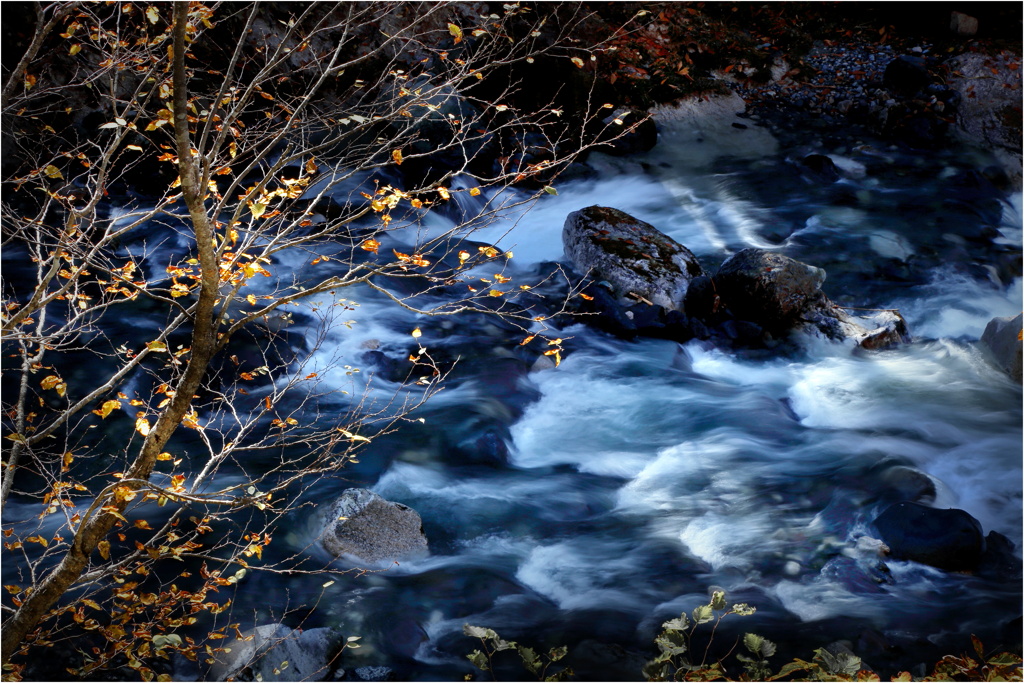 晩秋の川面-7