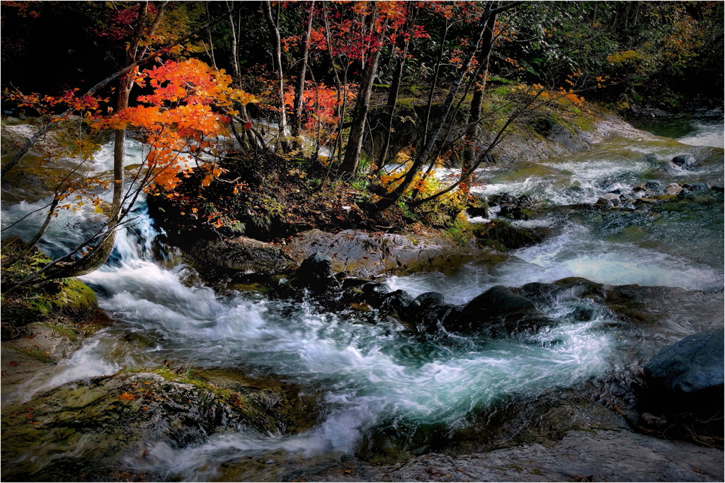 晩秋の渓流-12