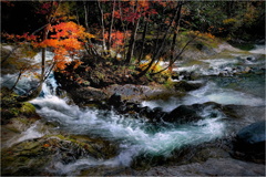 晩秋の渓流-12