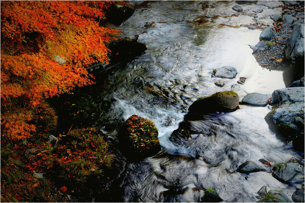 晩秋の川面-4
