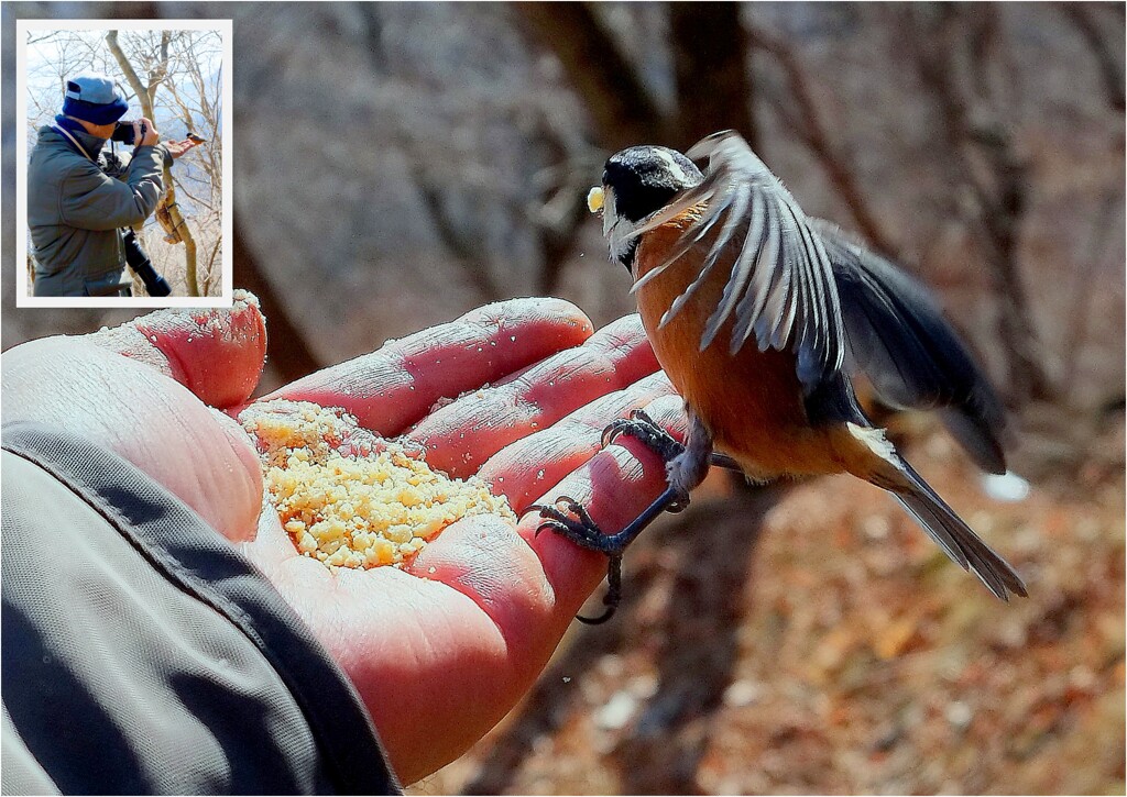 撮ってきました。