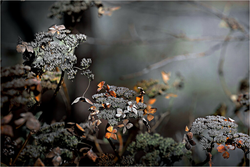 静寂の華やぎ」