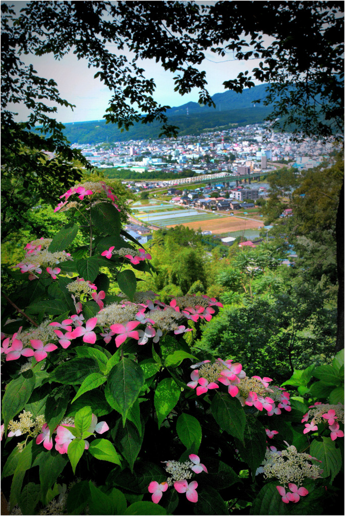 遠望