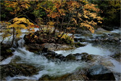 晩秋の渓流