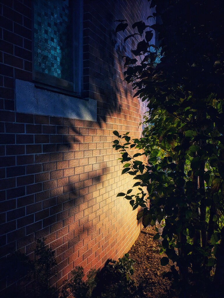 灯り