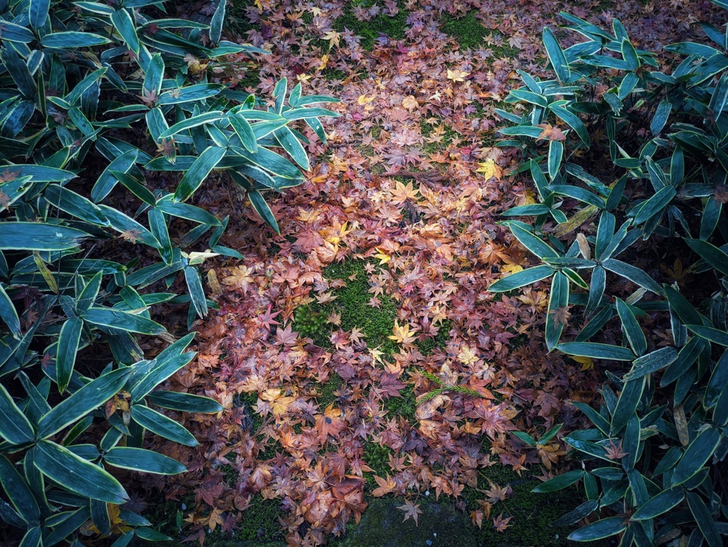 彩り