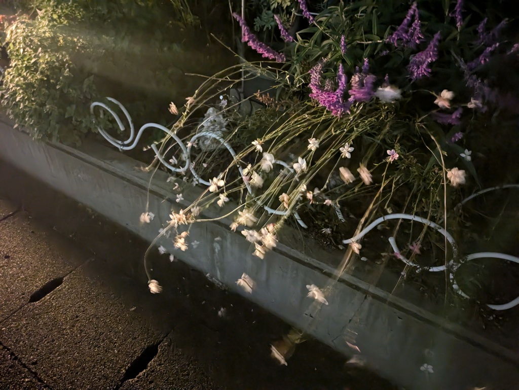 夜明け前
