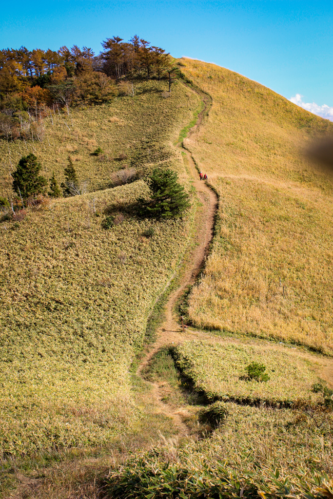 登山