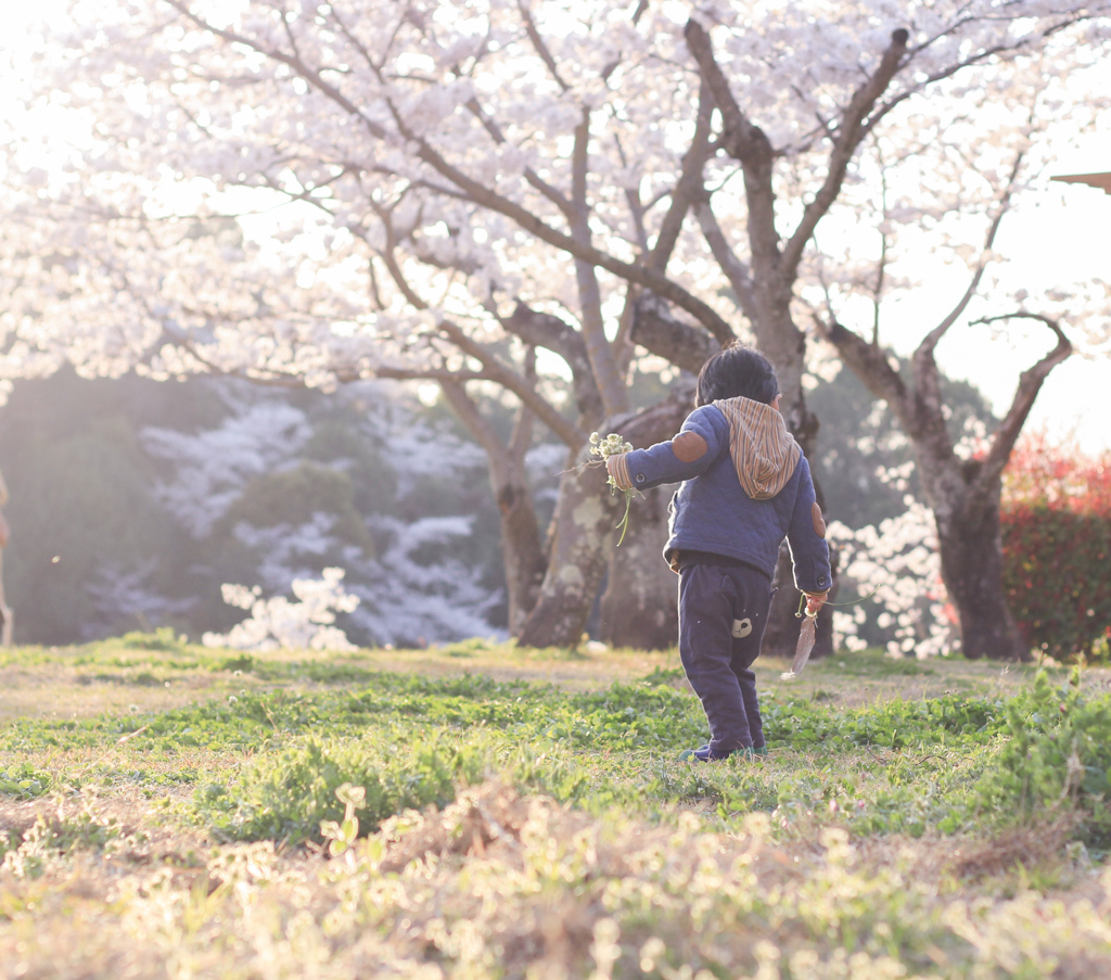 桜と息子