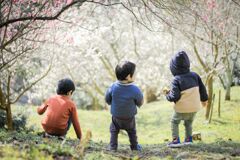 梅の花と子供たち