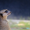 上野動物園