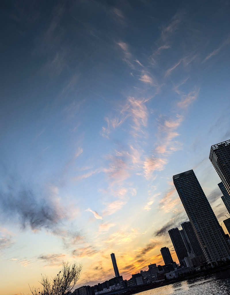 ビル越しの夕陽