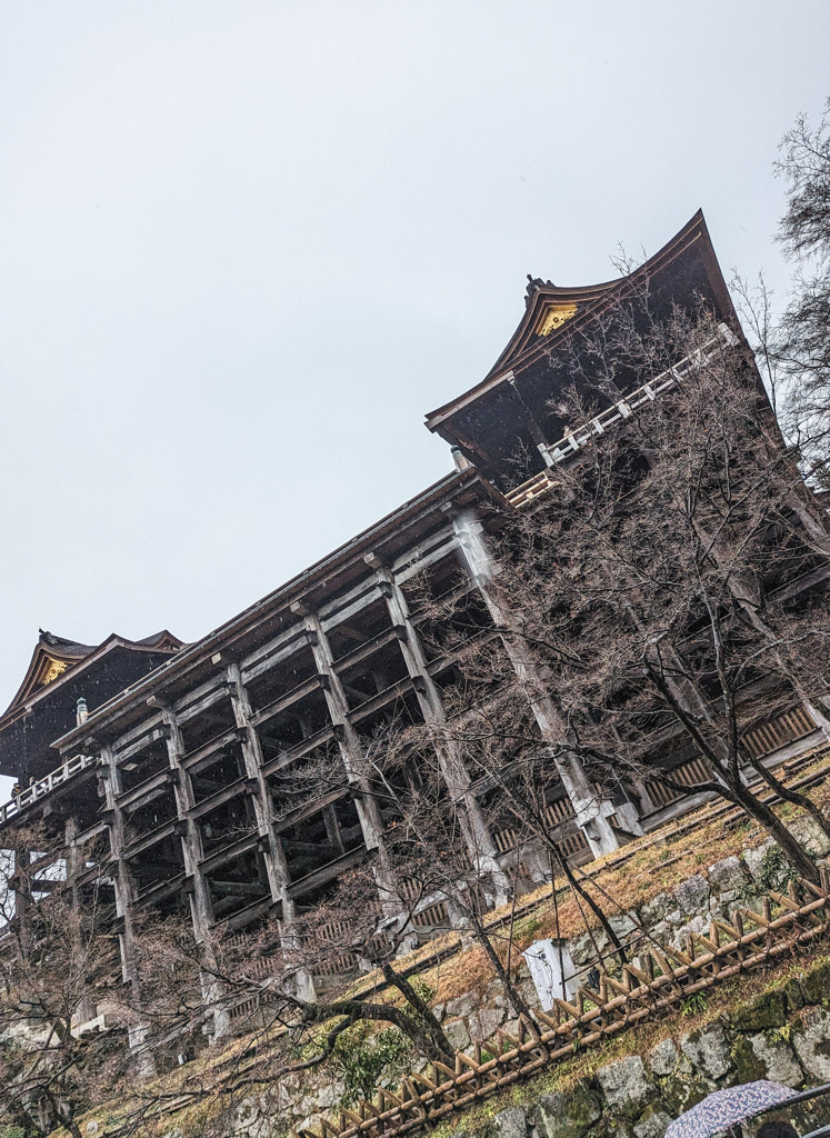 清美の舞台