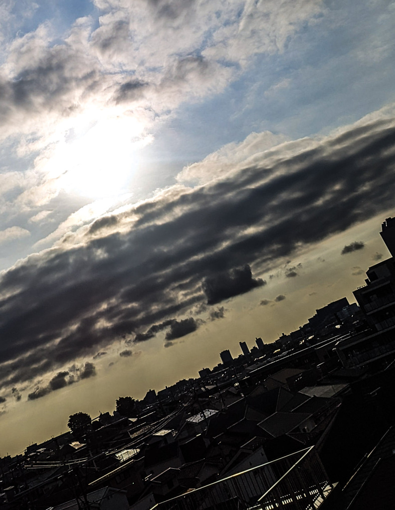 雨上がりの朝陽