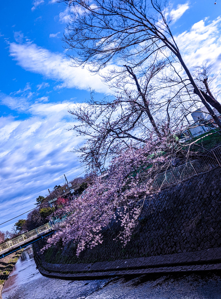 水に手を伸ばして