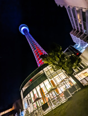 夜のマリンタワー