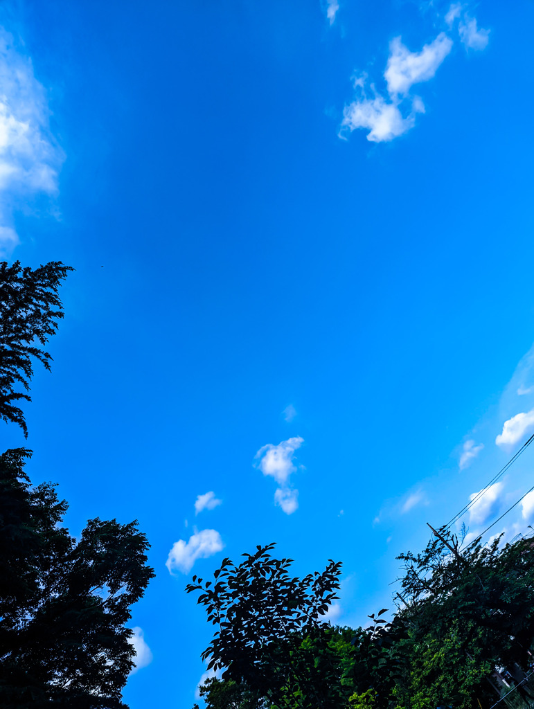 青空の下で