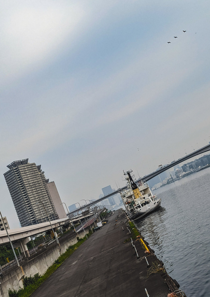朝の埠頭