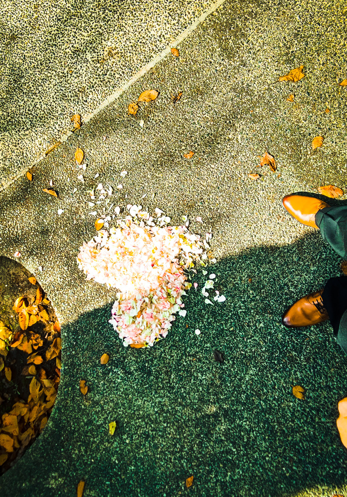 セレブレーション