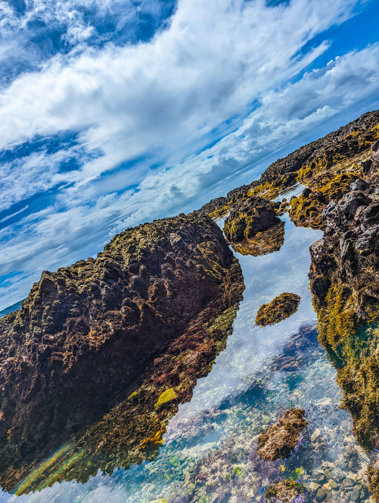 磯の透き通る水