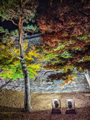城壁の紅葉