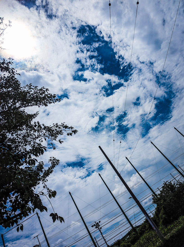 過ぎゆく季節を惜しみながら