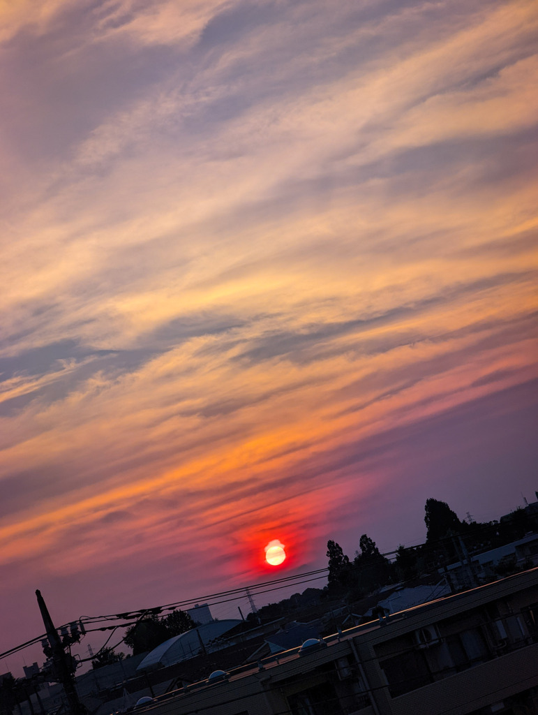 地平線に向かう夕陽