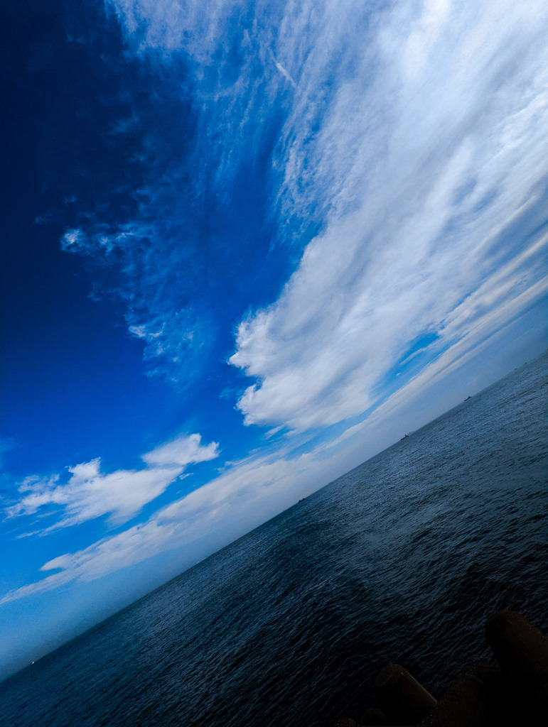 広いな大きいな