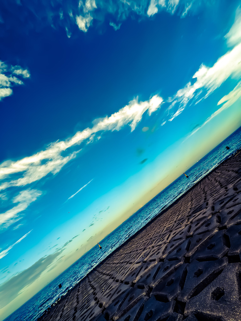 海は広いな大きいな