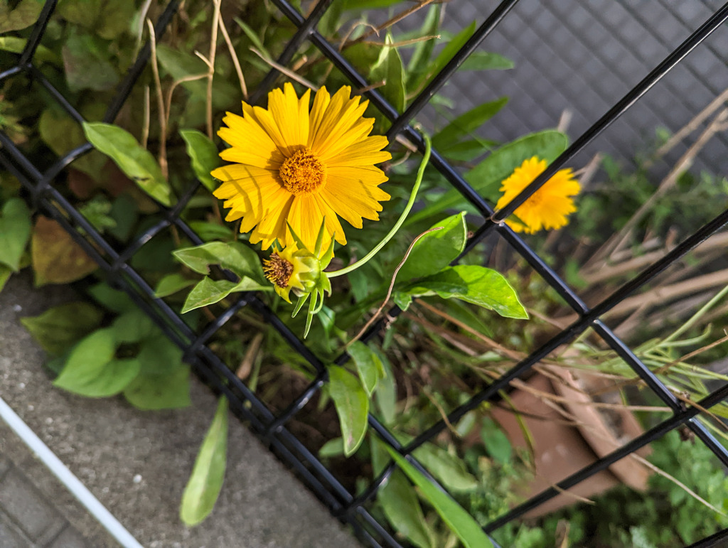 季節を過ごして