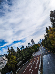神宮の歩道橋の上で