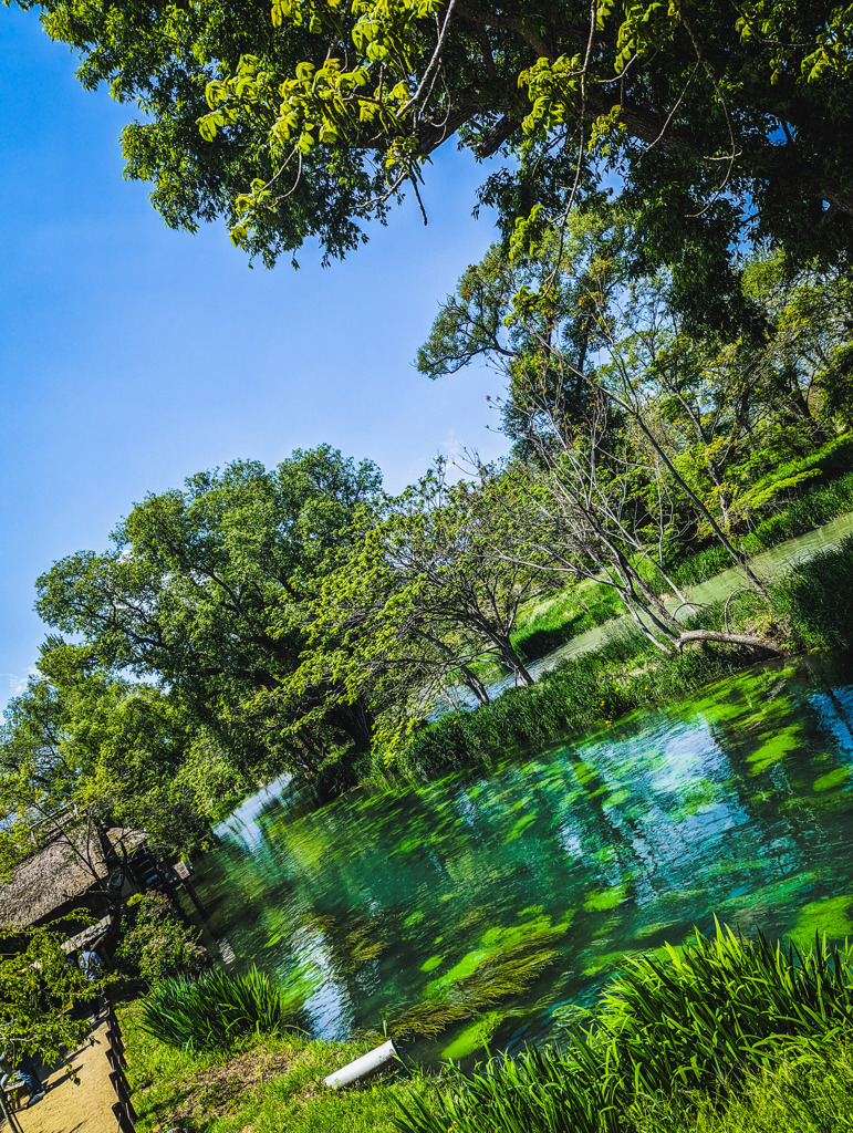 水と風車と青い空