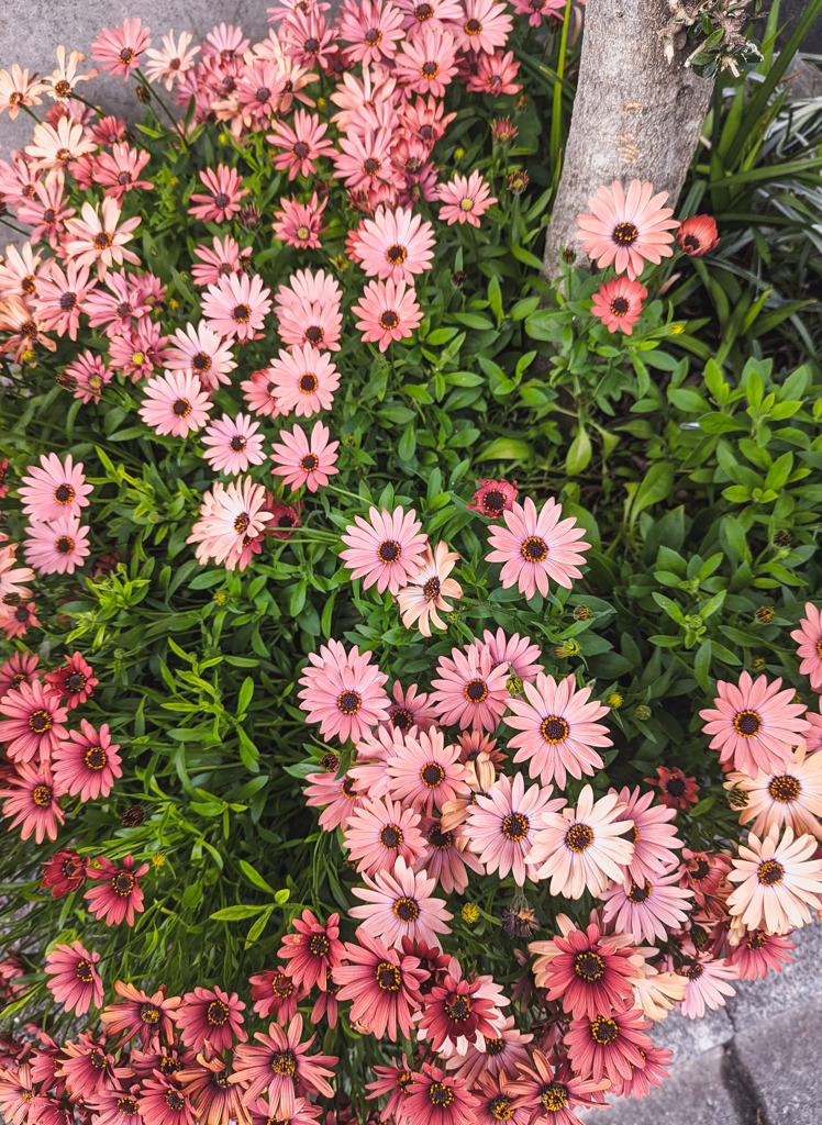 「おはよう」が聞こえてくる