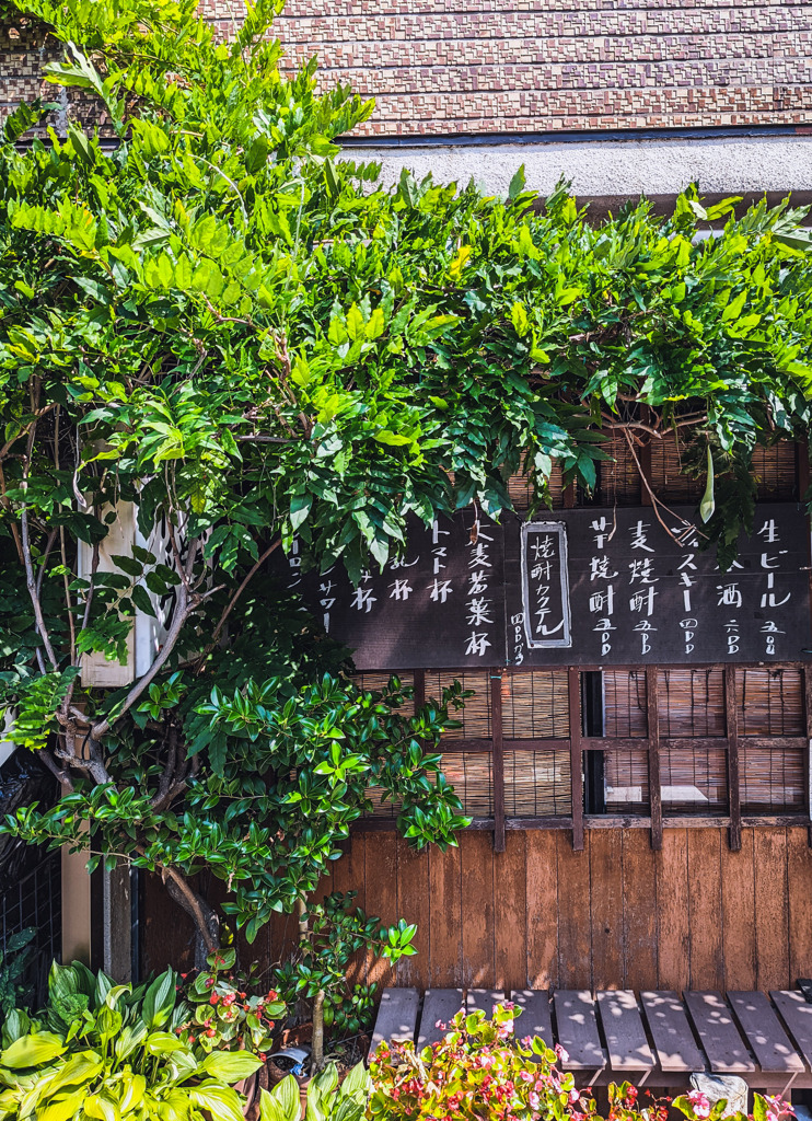 陽射しを浴びる居酒屋メニュー