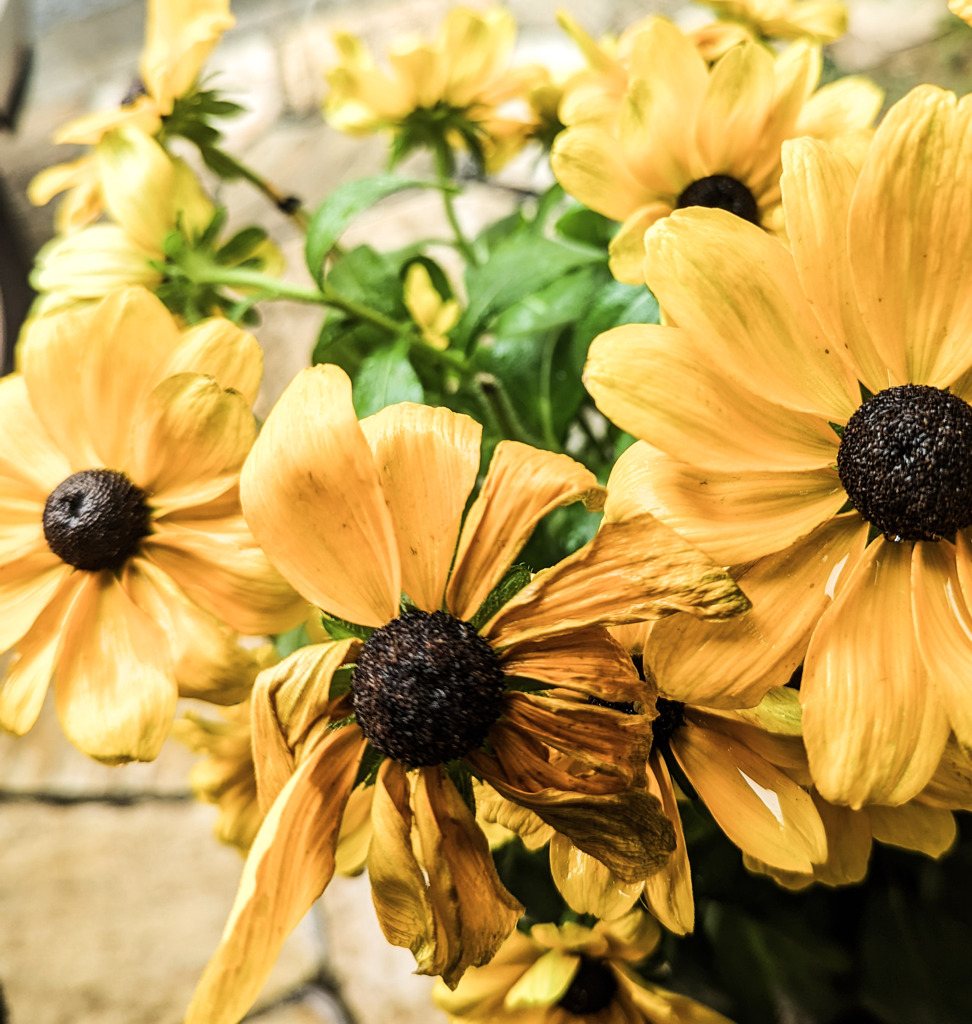 流れる時の中で