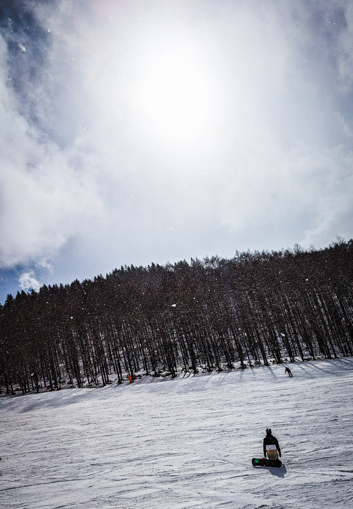 太陽と雪