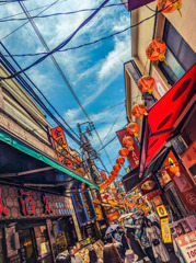 取り戻す夏の活気