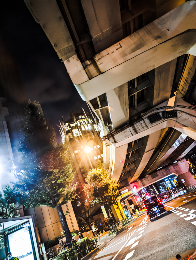 懐かしい夜の道