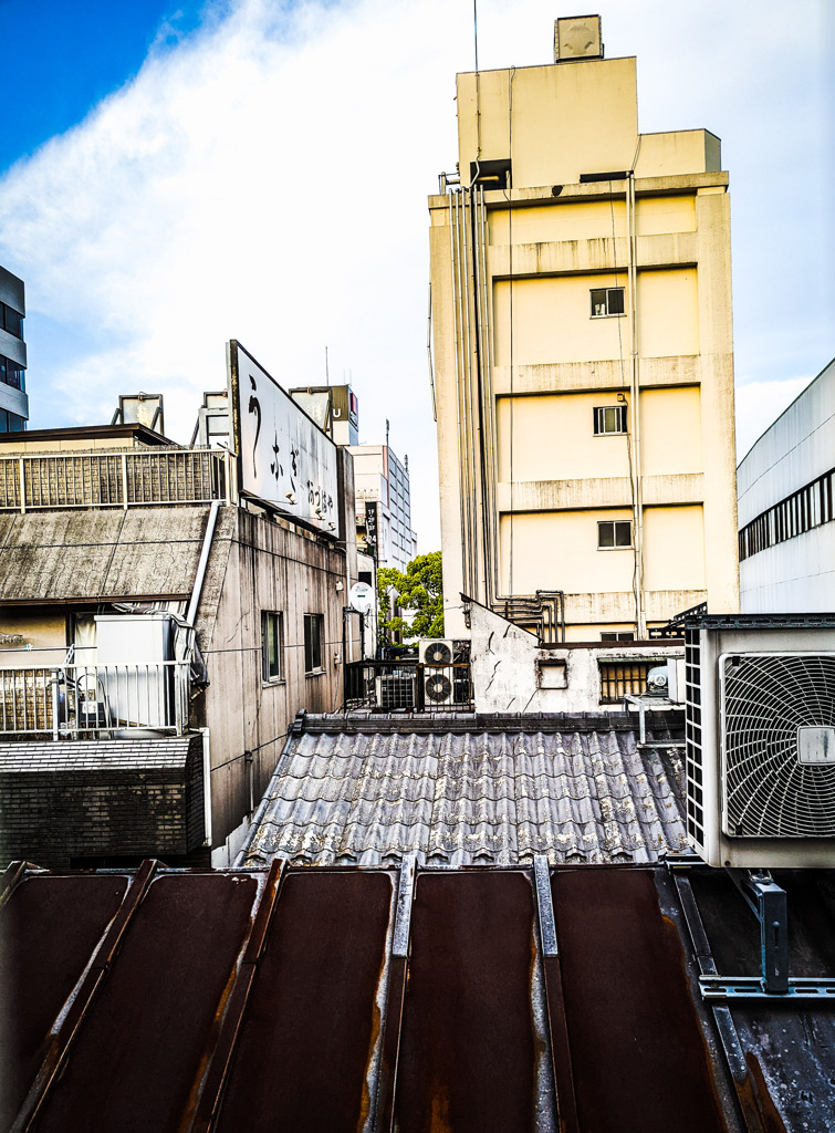 屋根を眺めながら