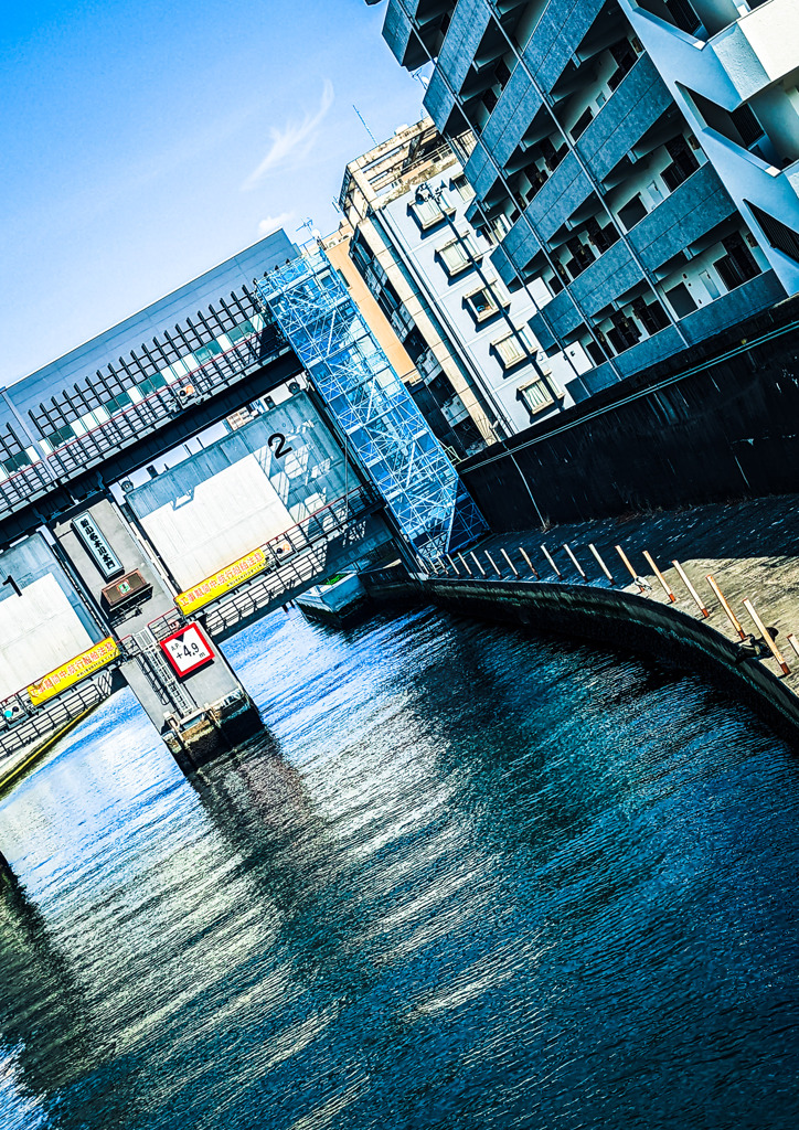 自然と共に生きるため